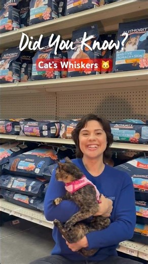 Cat’s whiskers = nature’s measuring tape… just fluffier 🐱#PetSmartDidYouKnow #AnythingForPets