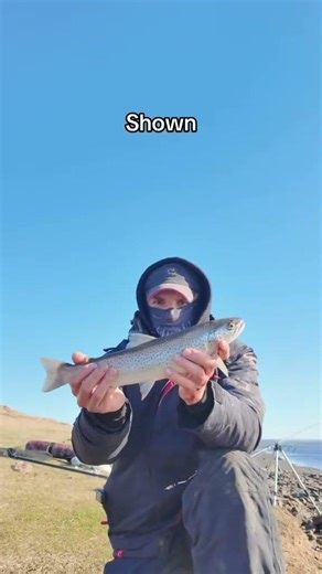 Fishing in Iceland 🦞🦞🦞 #iceland #catchandrelease 🐟🐟🐟
