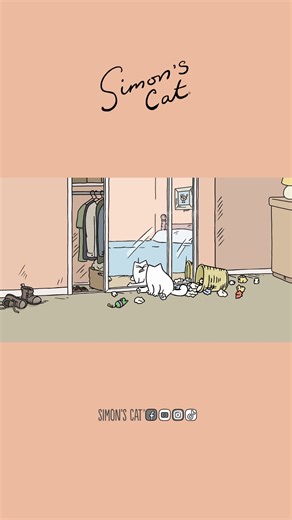 Cats and Mirrors! | Simon's Cat