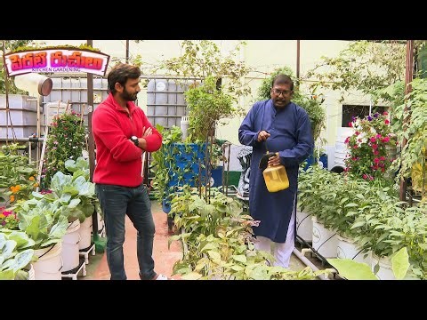 Perati Ruchulu | 3rd Jan 2025 | Full Episode | ETV Abhiruchi