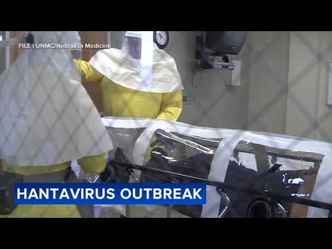 Hantavirus outbreak: Andes virus strain may spread more easily than previously expected