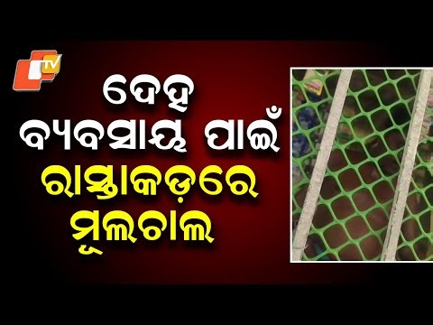 Open Sex Trade Allegedly Operating Along NH16 Near Khantapada, Balasore , Police Inaction Questioned