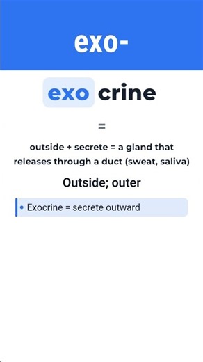exo- meaning in 60 seconds | Medical terminology #Shorts
