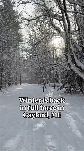 The snow is back in Gaylord and it just keeps coming! ❄️ #WinterStorm #PureMichigan #SnowScene Find all things winter here: https://bit.ly/3BgU2Dn | Gaylord Michigan Tourism Bureau