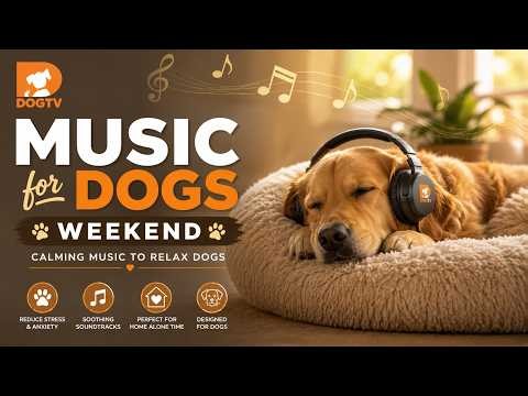 DOGTV's Music for Dogs Weekend is live!
