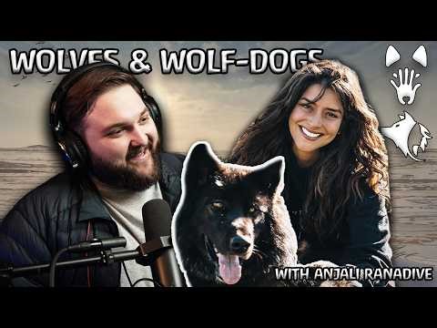 Wolves, Wolf-Dogs, and the Human-Canine Bond | Anjali Ranadive (Women for Wolves)
