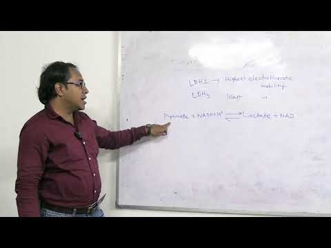 Lecture On Lactate Dehydrogenase (LDH) Biochemistry: Clinical Correlation & Lab Estimation | MBBS
