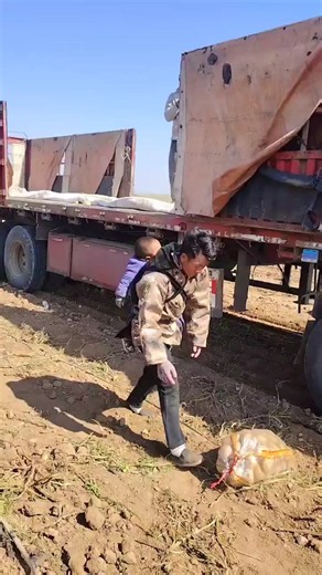🇨🇳 背娃务农生活艰辛，单亲背娃父爱如山动人心 🇬🇧 Carrying Child While Farming: A Father's Silent Devotion