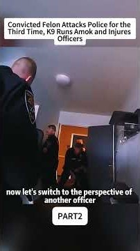 Convicted Felon Attacks Police for the 3rd Time | K9 Runs Amok & Injures Officers — Part 2