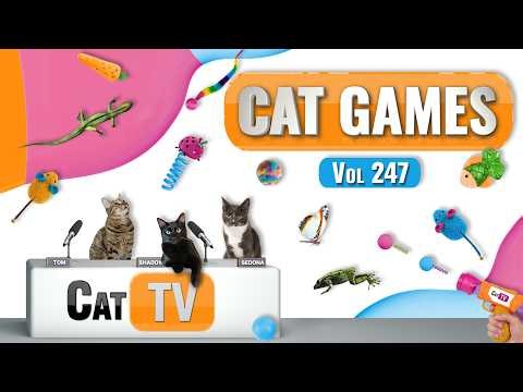 CAT Games | Ultimate Cat TV Compilation Vol 247 | 8 HOURS 🐝🐞🦋🦎🦜🐜🐭🧵