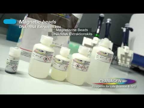 Company Profile Video - EN with DE subtitles