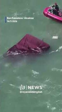 One dead, 2 missing after boat sinks near San Francisco's Alcatraz