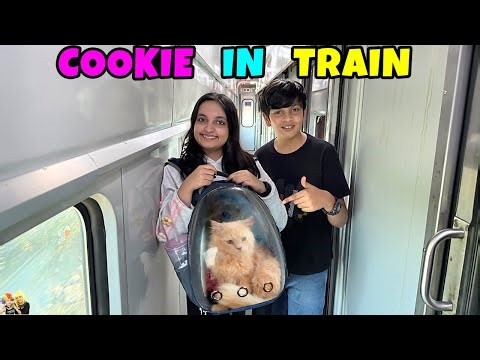 COOKIE IN TRAIN | Ep 793 | Travel Vlog with Pet in Train | Aayu and Pihu Show