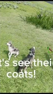 Preview of My Next WolfQuest Video!