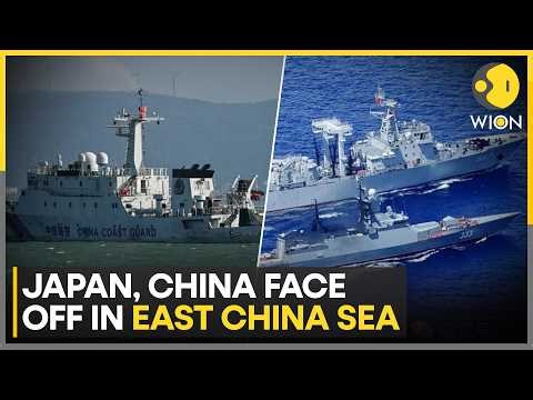 Japan, China Clash On Disputed Senkaku Island | WION World News
