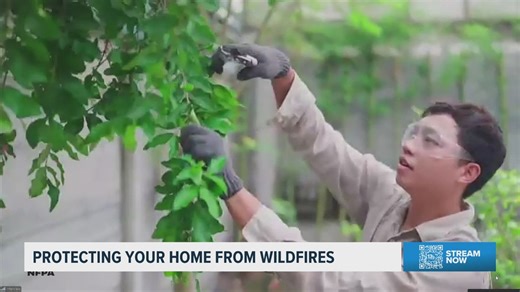 Protecting your homes from wildfires