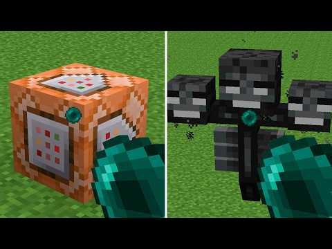 what's inside command block? what's inside wither?