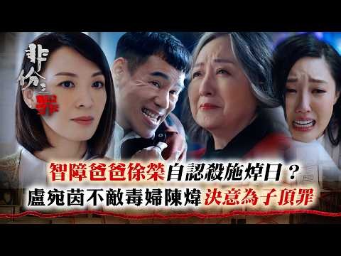 非份之罪｜智障爸爸徐榮自認殺施焯日 盧宛茵不敵毒婦陳煒決意為子頂罪｜TVB劇集｜第13集精華｜犯罪懸疑奇案