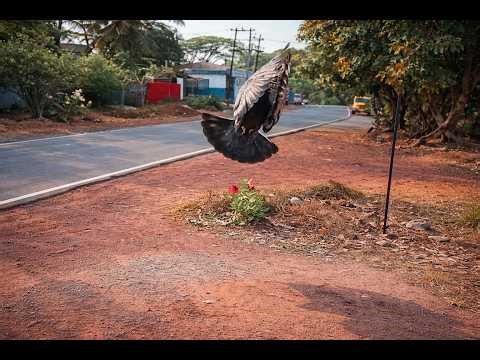 🔴 Live Street Camera | Real-Time CCTV Feed