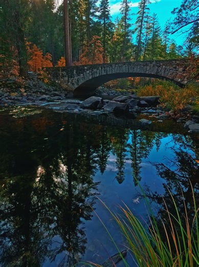 The Beauty of Autumn at Yosemite National Park