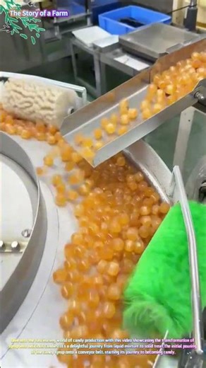 Candy Making Process: From Syrup to Sweets 🍬🏭