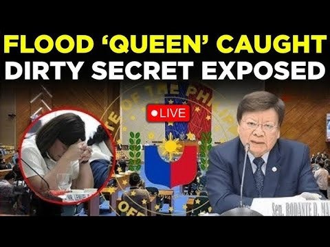 🔴 Philippines Senate Live: Mastermind Unmasked as Unexpected Twist Blows Up Hearing | Jevara PH