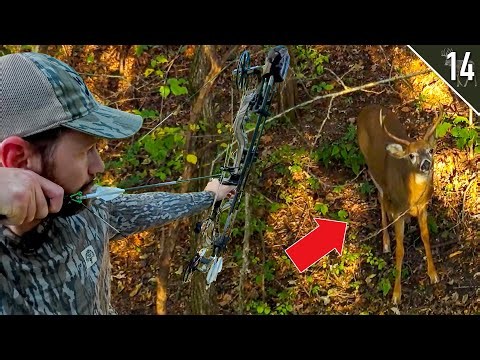 Hunting Acorns and FRESH Sign!! (Iowa and Missouri Public Land)