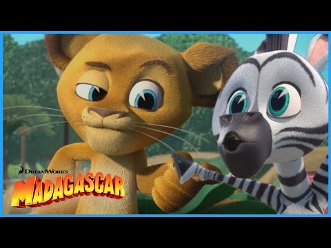 Gang Goes to New York!! 🗽😲 | DreamWorks Madagascar