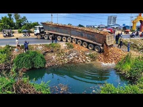New Project!! Extreme Land Filling! Massive Shantui Bulldozer and Dump Truck Team in Action
