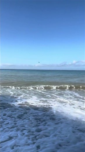 🌊 Ocean Waves for Deep Sleep — Pebble Beach #shorts