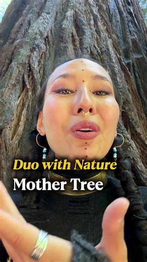 The Mother Tree: 1,000-Year-Old Guardian of 29 Generations