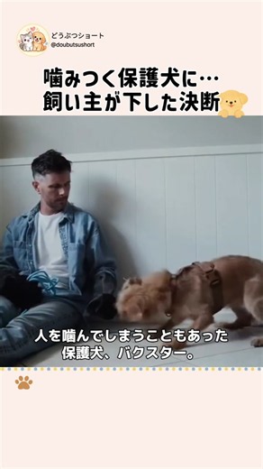 外の世界が怖かった保護犬。1年後に起きた奇跡…