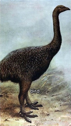 The Claw Preserved for Thousands of Years