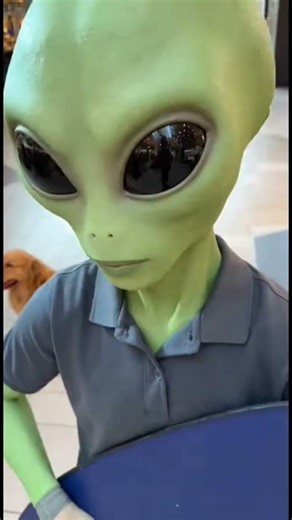 This is how humans buy food? #alien #vlog #comedy