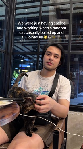 Random Cat Joins Coffee Work Session