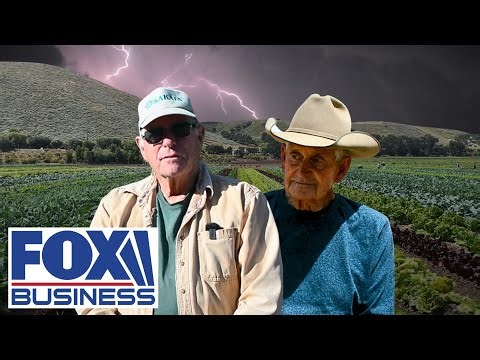 'REALLY SUFFERING': Farmers describe deepening financial California strain