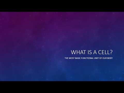 What is a cell