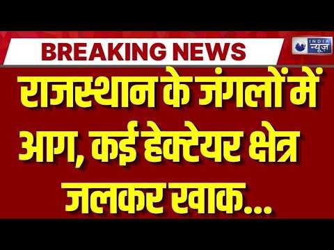 Rajasthan Forest Fire: राजस्थान के जंगलों में आग, कई हेक्टेयर क्षेत्र जले | Breaking News