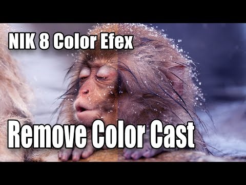Remove Color Cast in Nik 8 Color Efex | Fix Unwanted Color Tints Fast