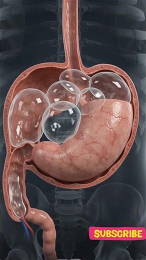 What Happens in Your Stomach When You Burp Too Much? 💨😱