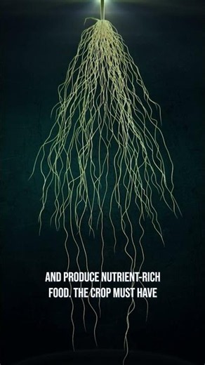 What does it really take to raise a crop? Let’s break it down.