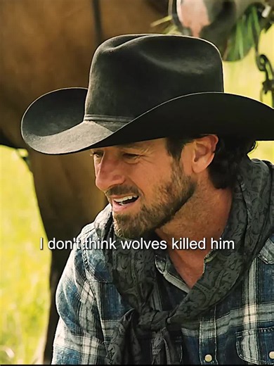 Yellowstone Scene: The Crew Decides to Get Depredation Tags for Wolves
