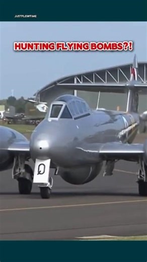 This Jet Hunted Flying Bombs in Mid-Air #militaryaviation