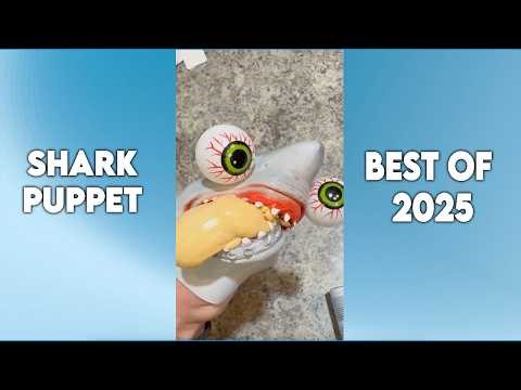 SHARK PUPPET 2025 COMPILATION!