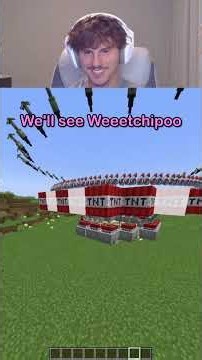 @weeetch Minecraft sonion