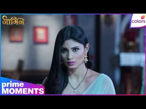 Naagin S1 | Ep.  | Shivanya's journey through the dark forest | Colors TV