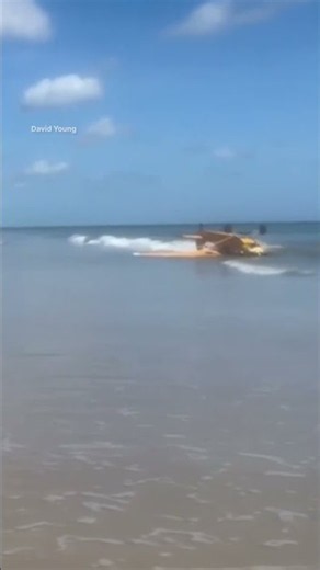 Pilot survives plane crash onto beach