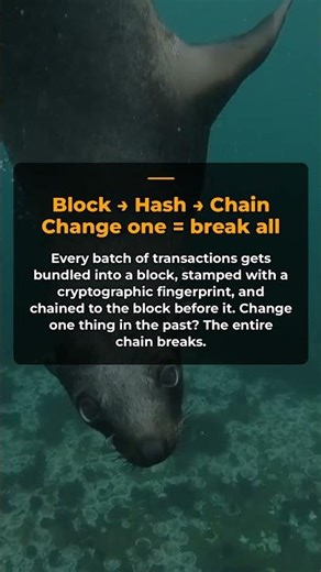 Blockchain Explained in 30 Seconds — What It Actually Is