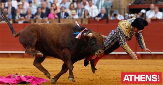Ισπανός ταυρομάχος δεν μπορεί να φάει ή να κοιμηθεί μετά από βάναυσο τραυματισμό