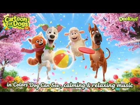 Cartoons for Dogs to Watch When Home Alone 🎨🐕 in Colors They Can See | Dog TV